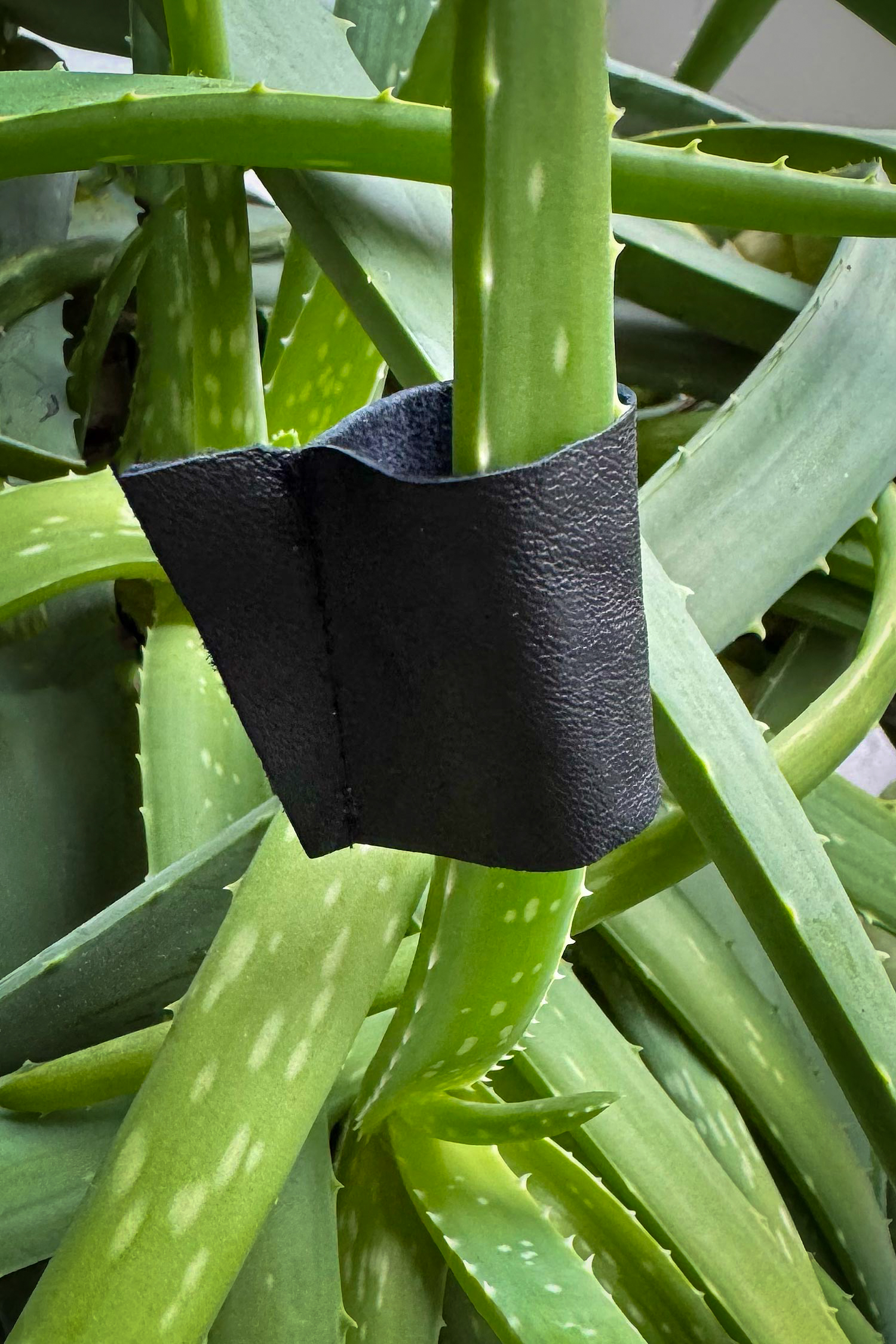 Leder Ring - schwarz - Dyno M