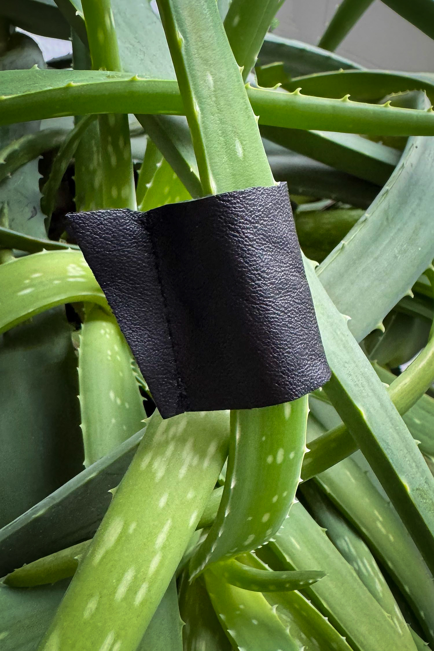 Leder Ring - schwarz - Dyno M