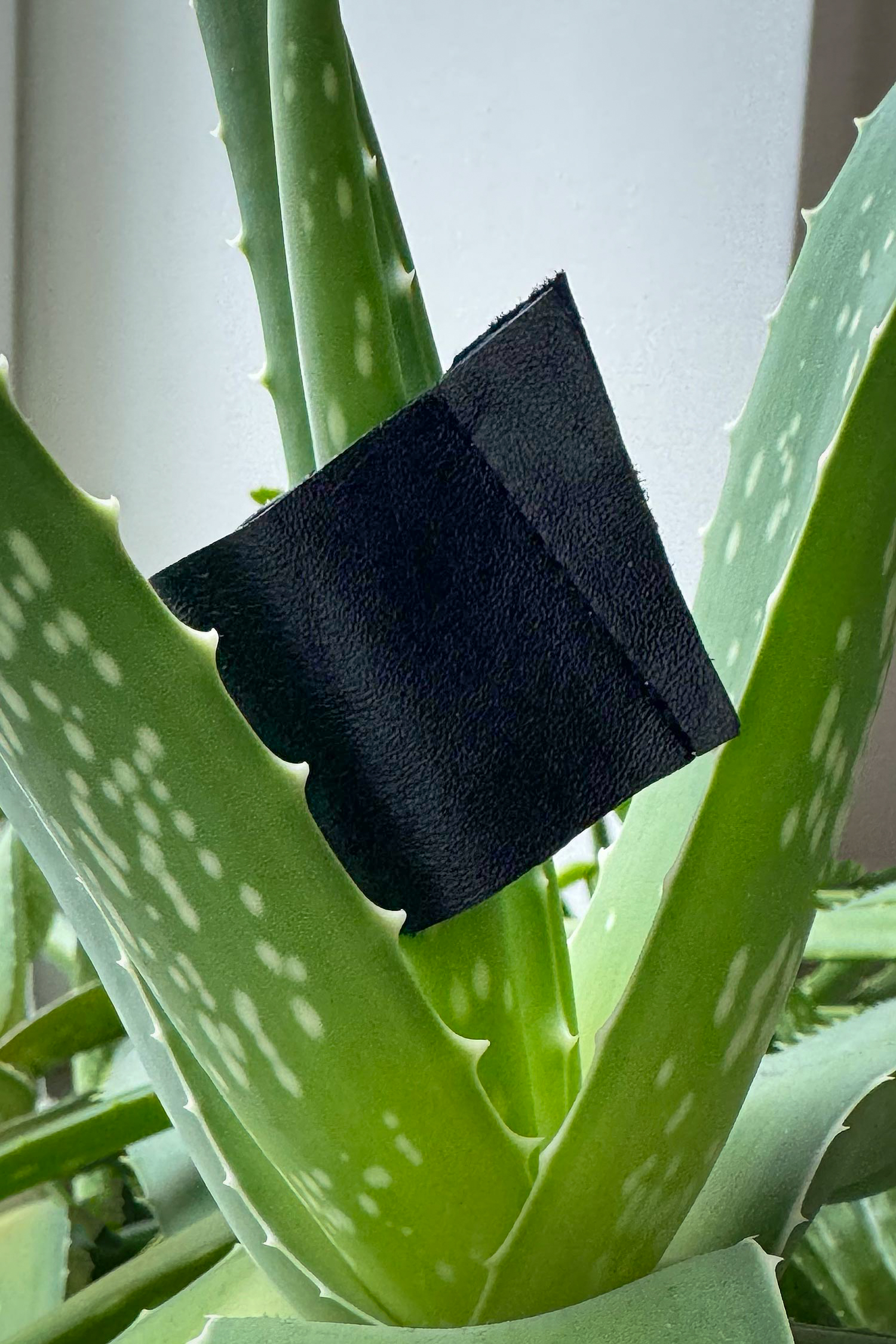 Leder Ring - schwarz - Dyno S